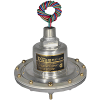 675GE Series Pressure Switch